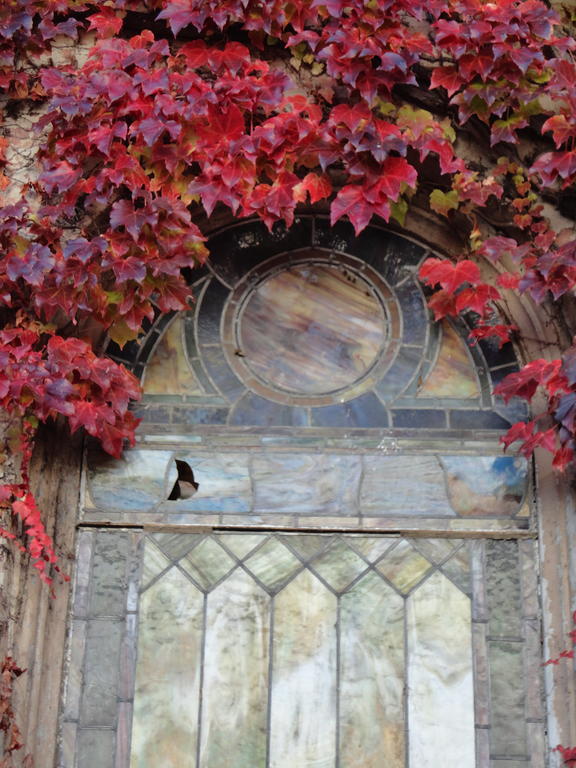 Church Des Artistes Kingston Chambre photo